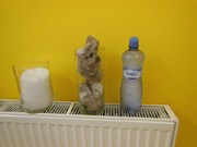 Pokusy s vodou, sněhem a ledem